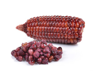 purple corn on white background