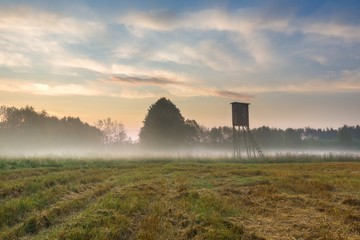 Fototapeta premium sunrise on foggy meadow with raised hide