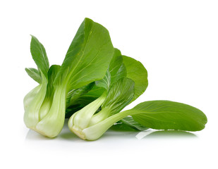 Bok choy vegetable on white background