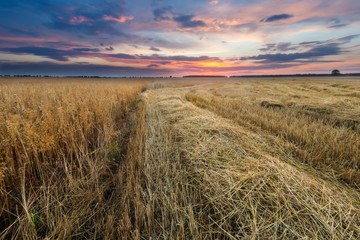Stubble field at sunset, landscape with spectacular clouds