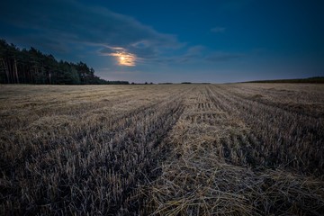 Stubble field under rising moon