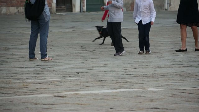 Views from around the ancient Coastal Italian city of Venice.
