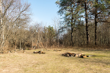 tourist trail in spring forest