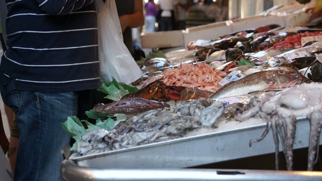 Views from around the ancient Coastal Italian city of Venice.