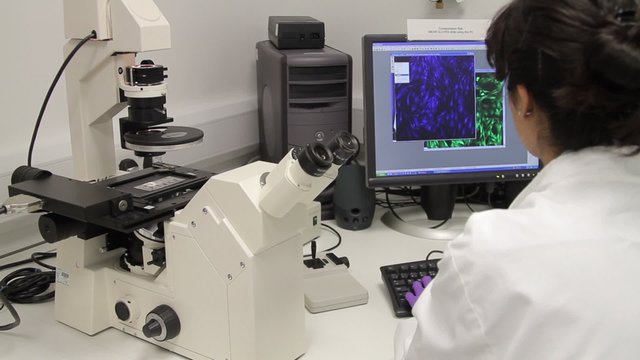 Scientist looking through microscope and check results on screen 