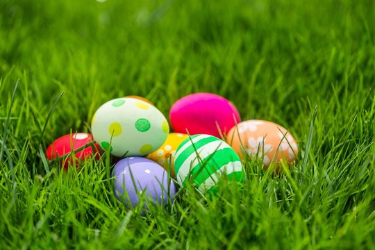 Colorful Easter eggs decorated in the grass