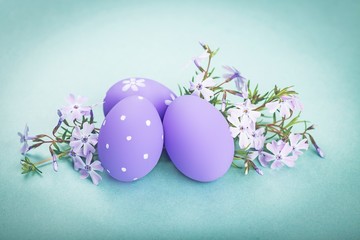 Easter eggs and crocuses isolated on white background.