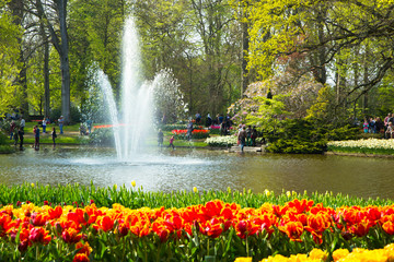tulips in Keukenhof park