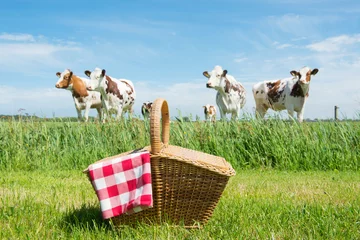 Fototapeten Picknickkorb auf dem Land © Ivonne Wierink