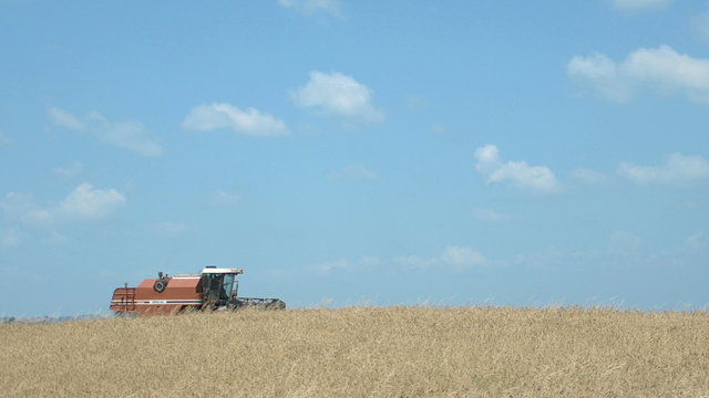 wheat harvest with modern combine harvester, Harvesting equipment, agriculture