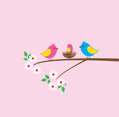 Bird Family