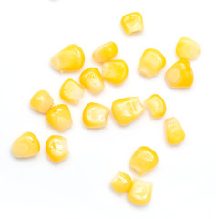 corn on a white background. close-up