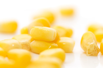 corn on a white background. close-up