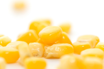 corn on a white background. close-up