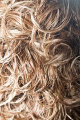 Curly Hair. Hairdressing. Wave .Natural Hair