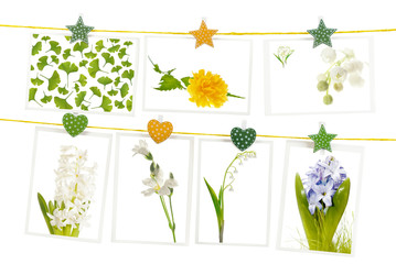 Hanging postcards with spring flowers