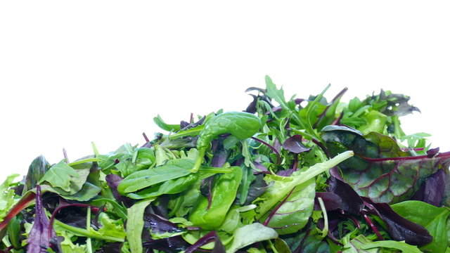 mesclun mix salad