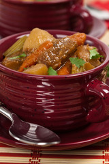 Slow Cooker Pork Stew. Selective focus.