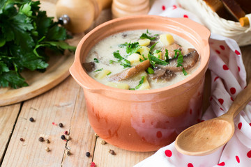 Traditional Russian potato soup with mushrooms and sour cream