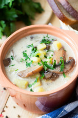 Traditional Russian potato soup with mushrooms and sour cream