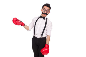 Funny boxer isolated on the white background