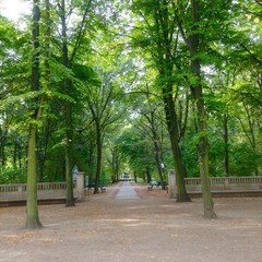 Park Path