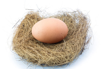 Egg in a nest isolated on a white background