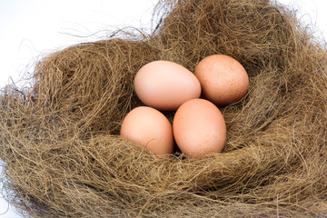 Eggs in a nest isolated on a white background