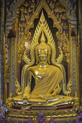 Fototapeta premium The Buddha image in a temple