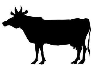 silhouette of cow
