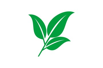 leaf ver. 1
