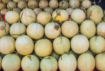 Cantaloupe melons on market