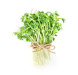 closeup green pea sprout  on white background