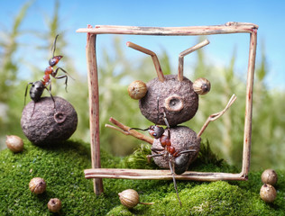portrait of friend, ant tales