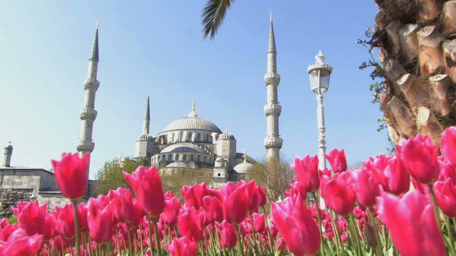 WS PAN OF THE BLUE MOSQUE ISTANBUL TURKEY