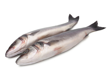 Fresh seabass