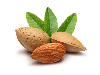Almond Group
