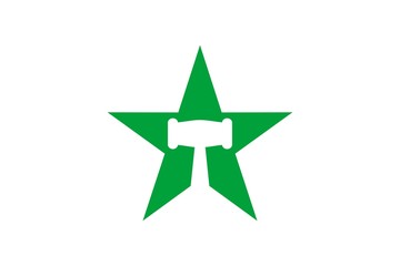 Obraz premium star ver. 6