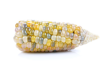 Corn on white background