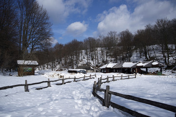 part of plitvice national park under snow