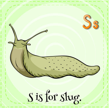 Slug Cartoon Images – Browse 8,452 Stock Photos, Vectors, and Video | Adobe  Stock
