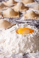 Obraz na płótnie Canvas Cooking Italian ravioli closeup. vertical