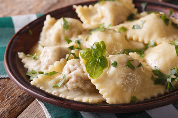 Hot ravioli close-up on a plate. horizontal, rustic style
