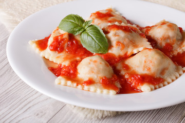 Ravioli stuffed with meat in tomato sauce horizontal