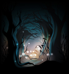 Mysterious forest background