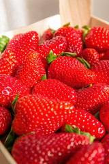 Closeup of freshly strawberries in a wooden box