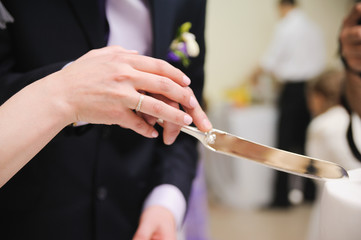 Obraz na płótnie Canvas bride and groom are Slicing the wedding cake on reception