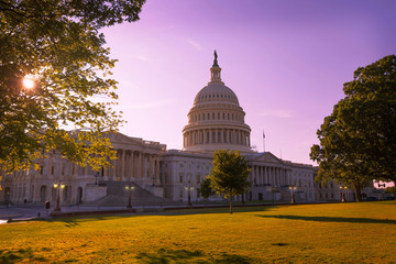 Capitol building Washington DC sunset garden US