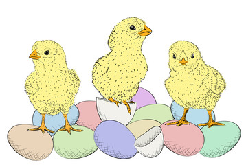 Easter eggs and chickens