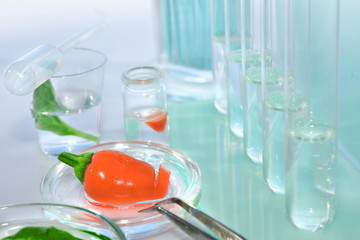 Testing red peppers for contamination with pesticides